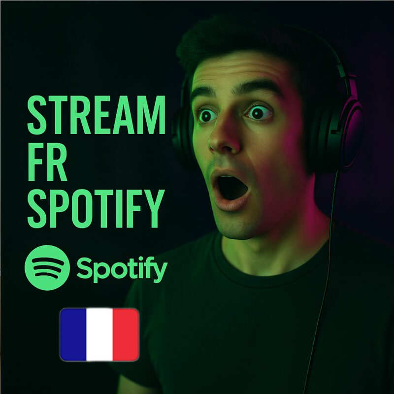 CAMPAGNE SPONSORISÉE: STREAMS SPOTIFY FRANCE