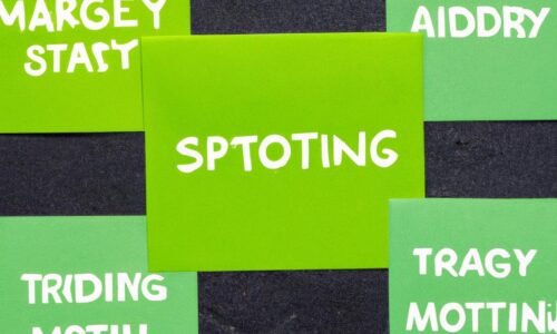 La Stratégie de Marketing de Spotify
